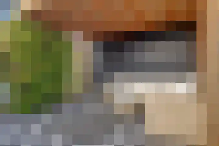 Bertus Aafjesboulevard 14 Grootebroek thumbnail 19