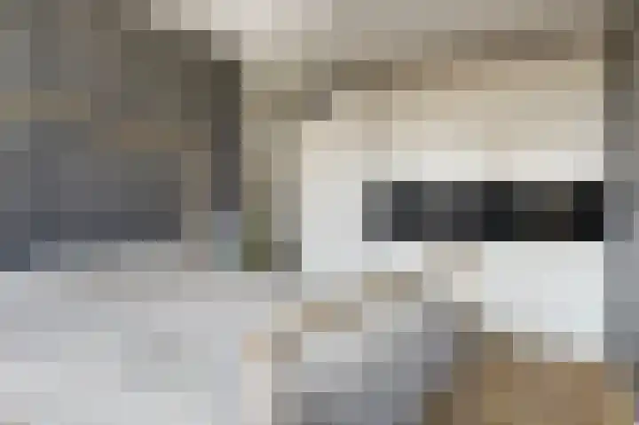 Bertus Aafjesboulevard 14 Grootebroek thumbnail 21
