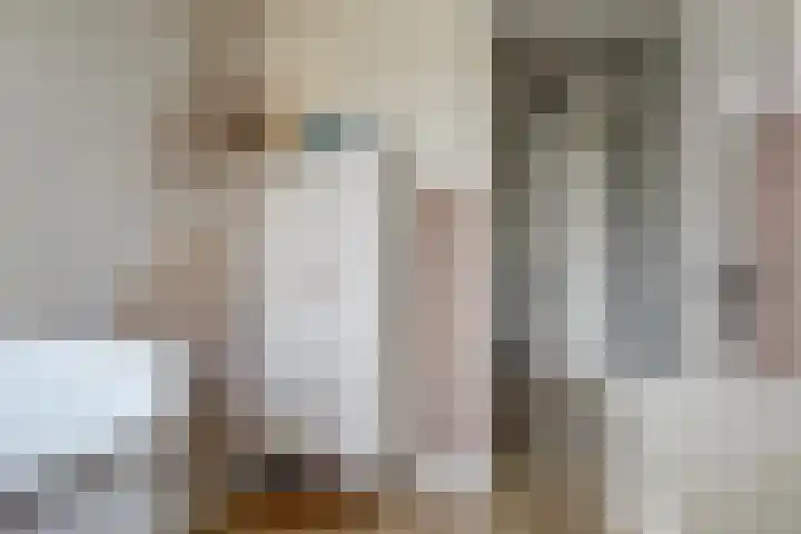 Bertus Aafjesboulevard 14 Grootebroek thumbnail 25