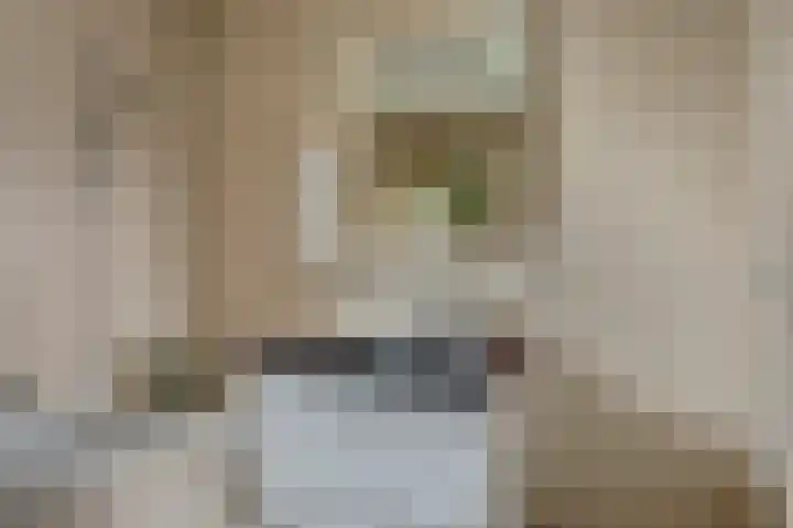 Bertus Aafjesboulevard 14 Grootebroek thumbnail 28