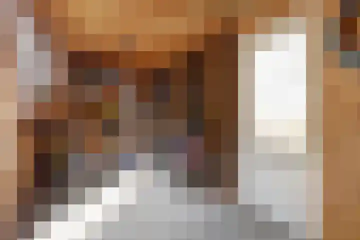 Bertus Aafjesboulevard 14 Grootebroek thumbnail 33