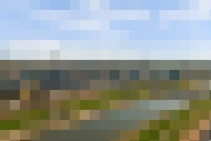 Bertus Aafjesboulevard 14 Grootebroek thumbnail 38