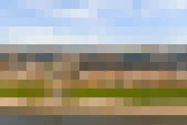 Bertus Aafjesboulevard 14 Grootebroek thumbnail 39