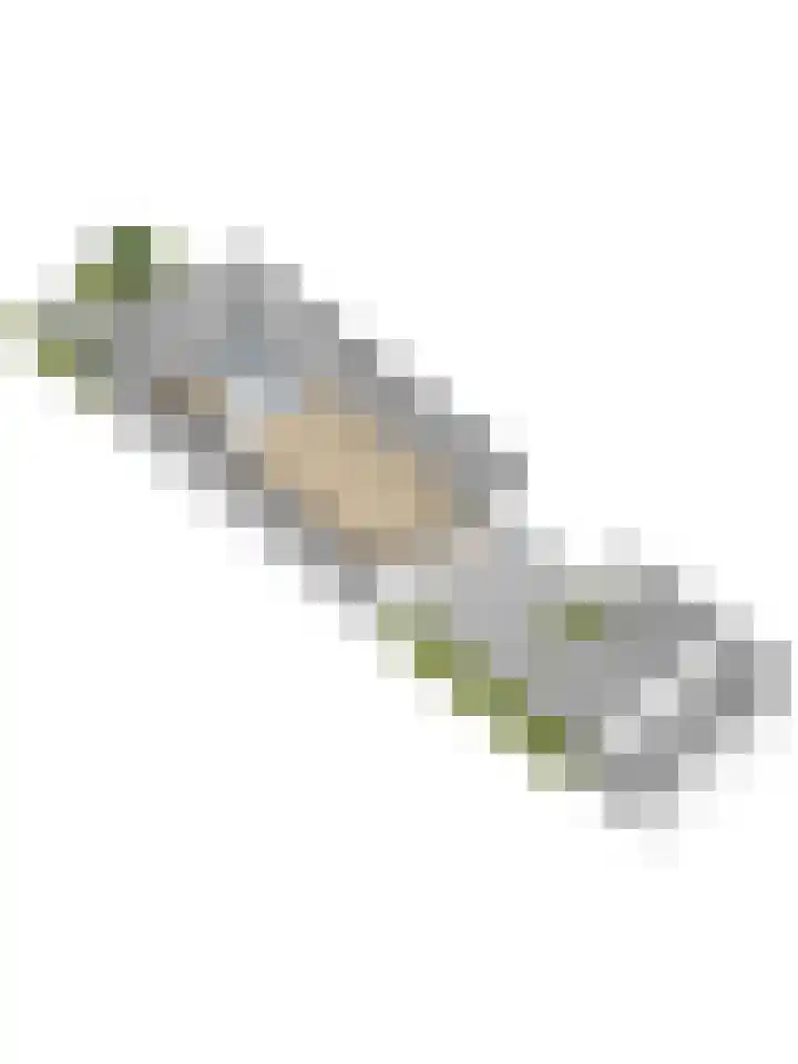 Bertus Aafjesboulevard 14 Grootebroek thumbnail 50