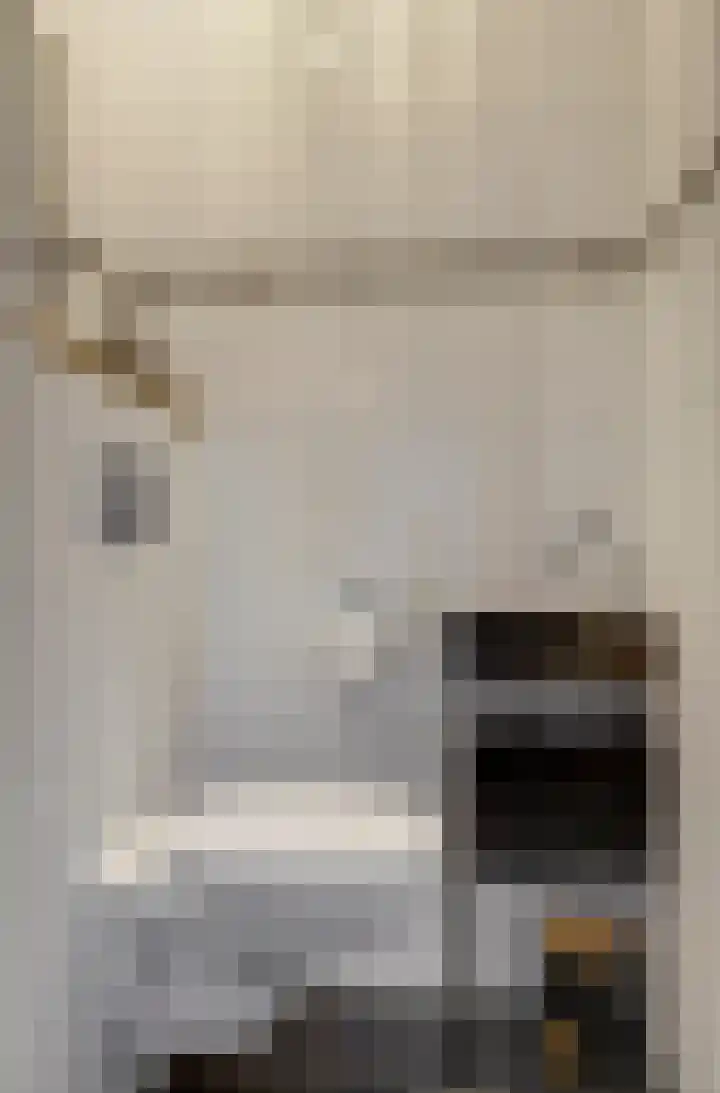 Bertus Aafjesboulevard 14 Grootebroek thumbnail 8