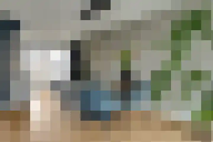 Bertus Aafjesboulevard 14 Grootebroek thumbnail 9