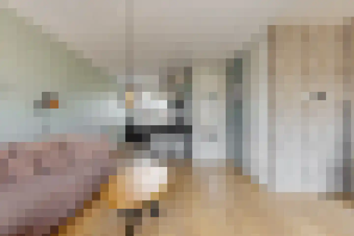 Bertus Aafjesboulevard 20 Grootebroek thumbnail 8