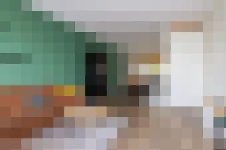 Bertus Aafjesboulevard 42 Grootebroek thumbnail 10