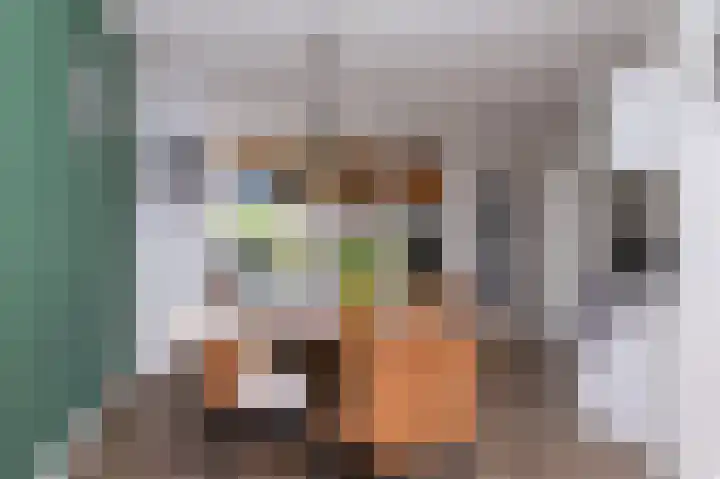 Bertus Aafjesboulevard 42 Grootebroek thumbnail 15