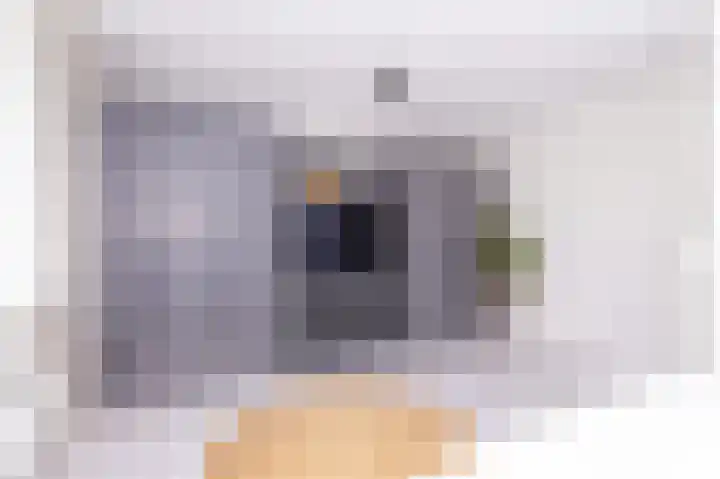 Bertus Aafjesboulevard 42 Grootebroek thumbnail 24