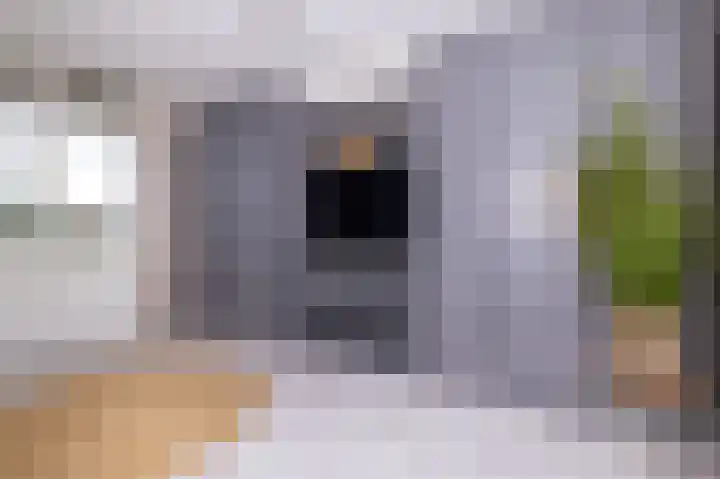 Bertus Aafjesboulevard 42 Grootebroek thumbnail 25