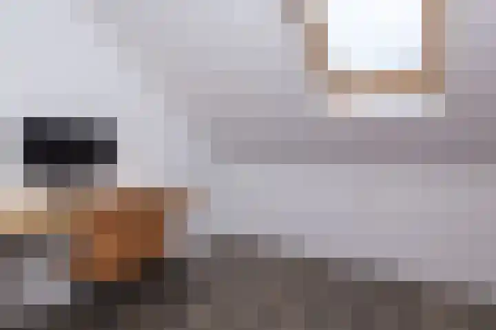 Bertus Aafjesboulevard 42 Grootebroek thumbnail 32