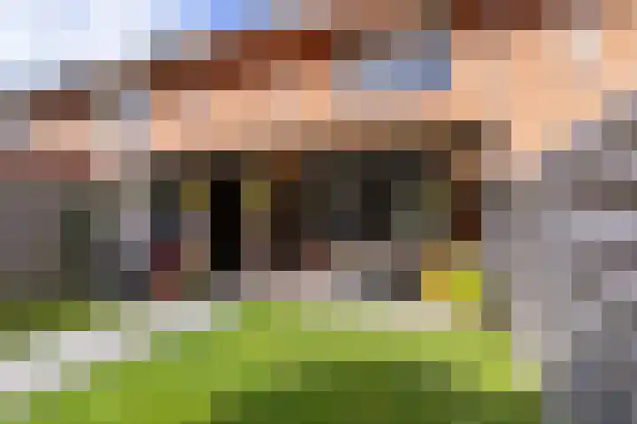Bertus Aafjesboulevard 42 Grootebroek thumbnail 38