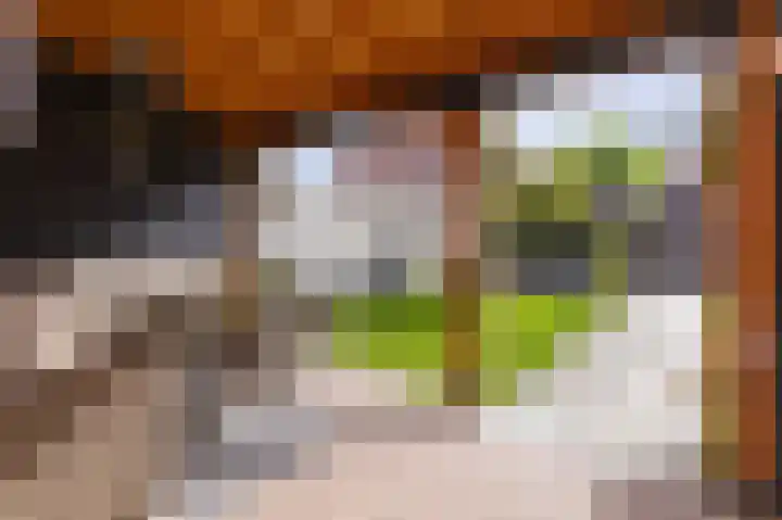 Bertus Aafjesboulevard 42 Grootebroek thumbnail 39