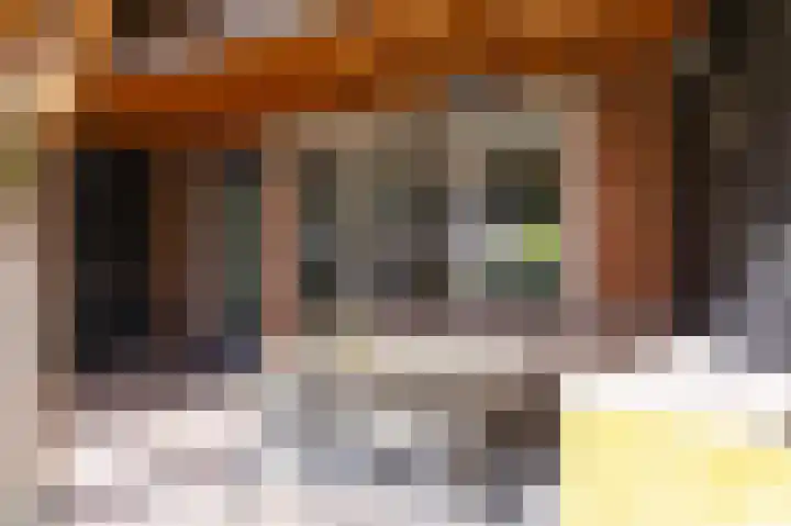 Bertus Aafjesboulevard 42 Grootebroek thumbnail 40