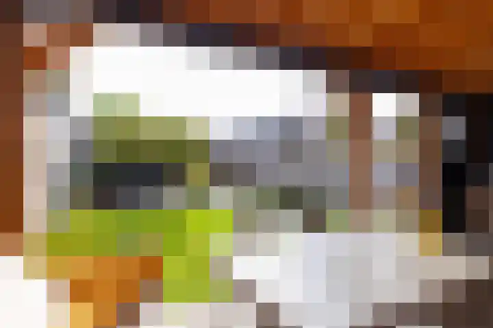Bertus Aafjesboulevard 42 Grootebroek thumbnail 41