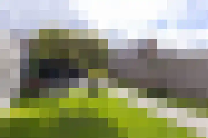 Bertus Aafjesboulevard 42 Grootebroek thumbnail 42