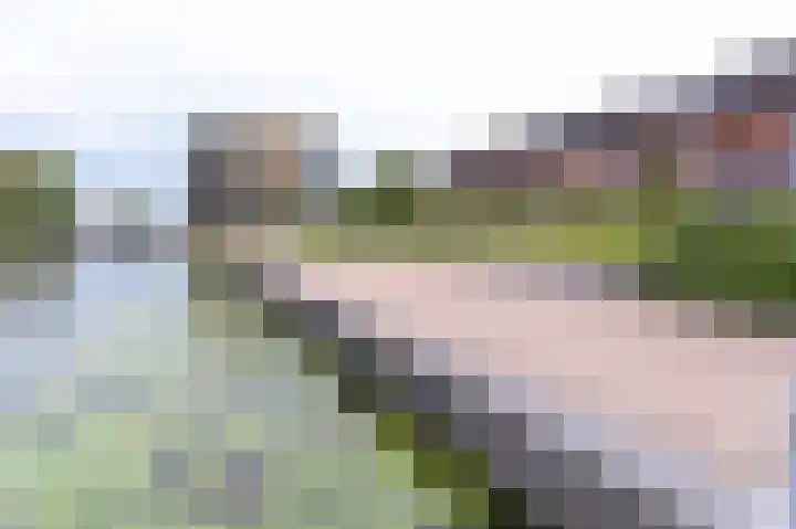 Bertus Aafjesboulevard 42 Grootebroek thumbnail 44