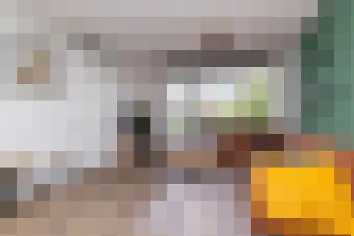 Bertus Aafjesboulevard 42 Grootebroek thumbnail 9
