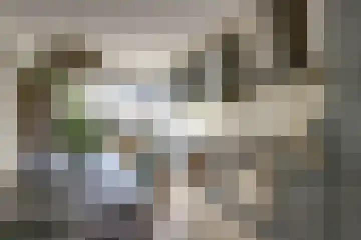 Bertus Aafjeshof 112 Hoorn thumbnail 16