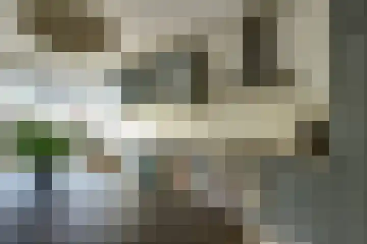 Bertus Aafjeshof 112 Hoorn thumbnail 17