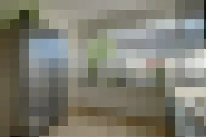 Bertus Aafjeshof 112 Hoorn thumbnail 18