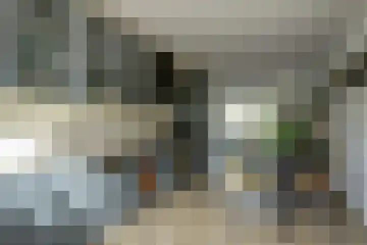 Bertus Aafjeshof 112 Hoorn thumbnail 20