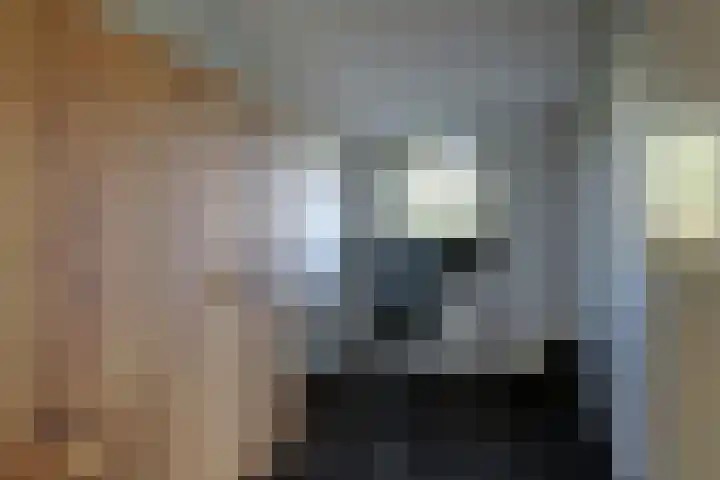 Bertus Aafjeshof 112 Hoorn thumbnail 25