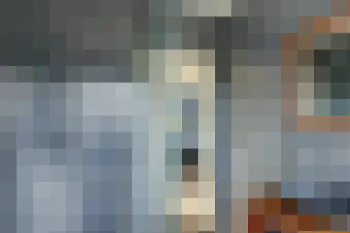 Bertus Aafjeshof 112 Hoorn thumbnail 33