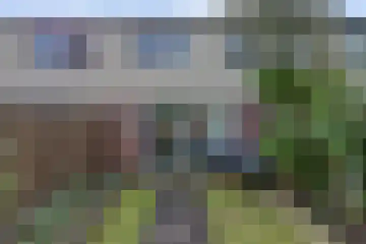 Bertus Aafjeshof 112 Hoorn thumbnail 35