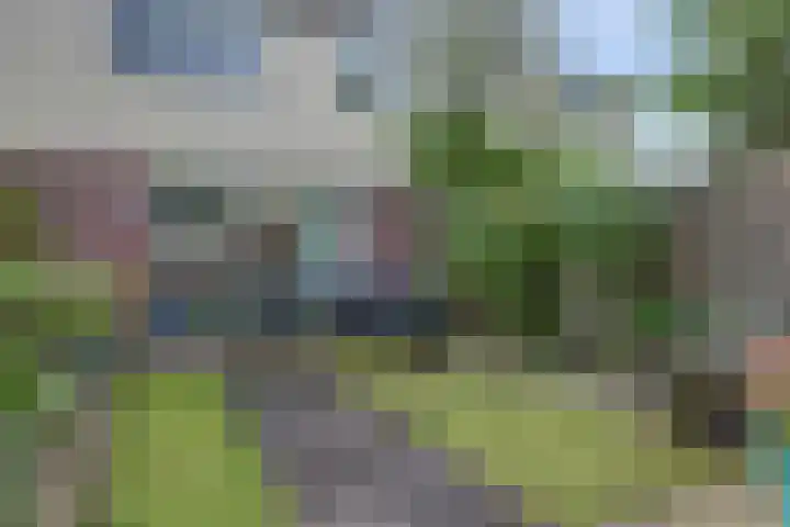 Bertus Aafjeshof 112 Hoorn thumbnail 36