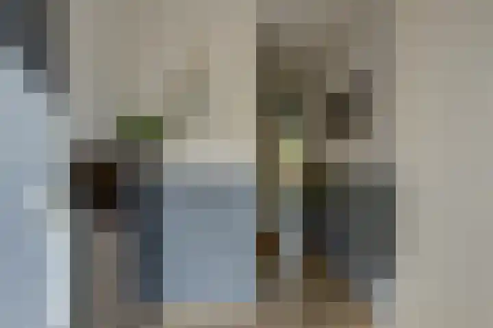 Bertus Aafjeshof 112 Hoorn thumbnail 7