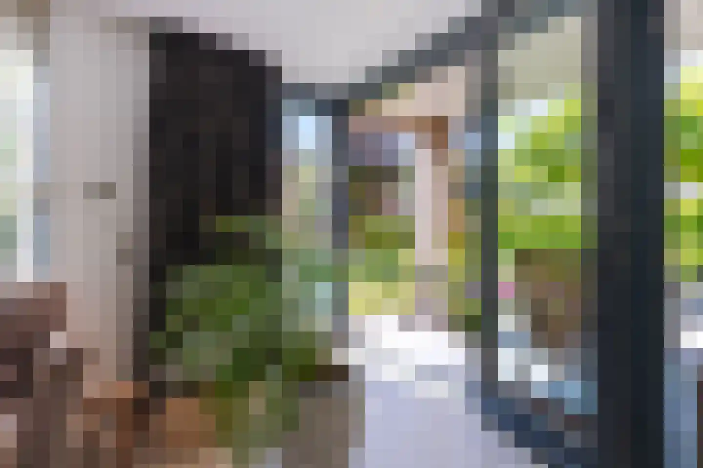 Bertus Aafjeshof 142 Hoorn thumbnail 20