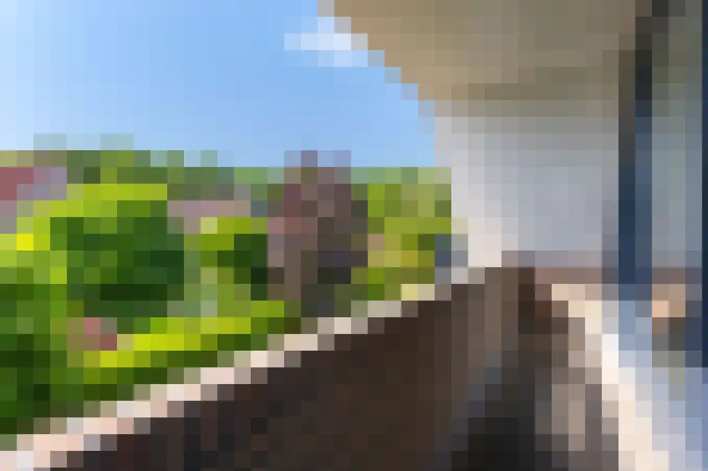 Bertus Aafjeshof 142 Hoorn thumbnail 45