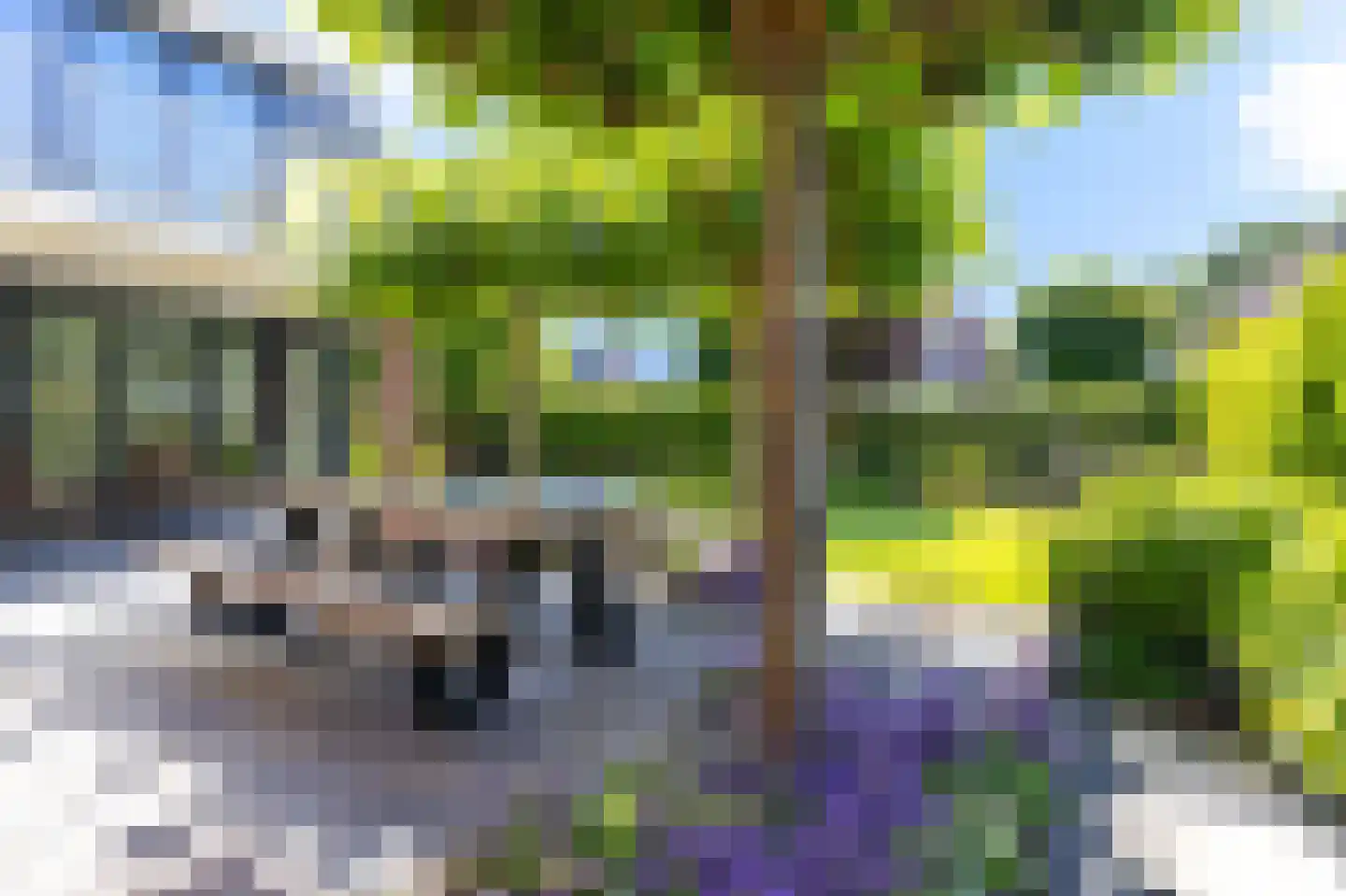Bertus Aafjeshof 142 Hoorn thumbnail 73