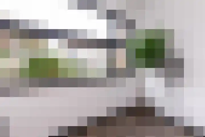 Bertus Aafjeshof 143 Hoorn thumbnail 17