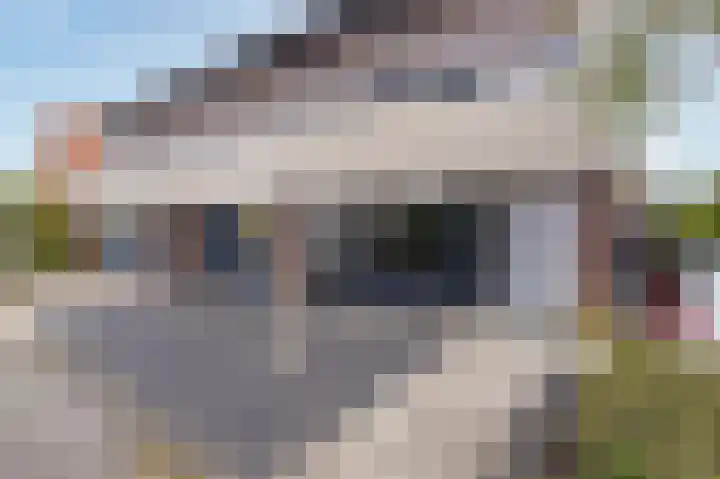 Bertus Aafjeshof 143 Hoorn thumbnail 5