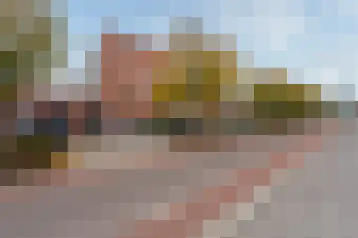 Bertus Aafjeshof 162 Hoorn thumbnail 41