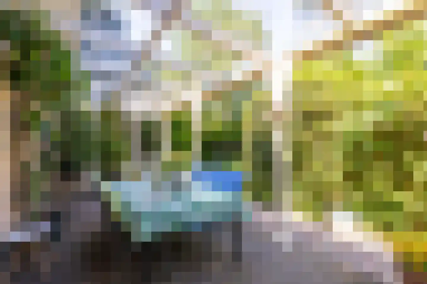 Bertus Aafjeshof 194 Hoorn thumbnail 53