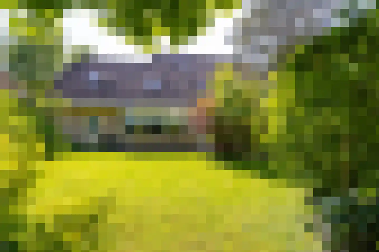 Bertus Aafjeshof 194 Hoorn thumbnail 54