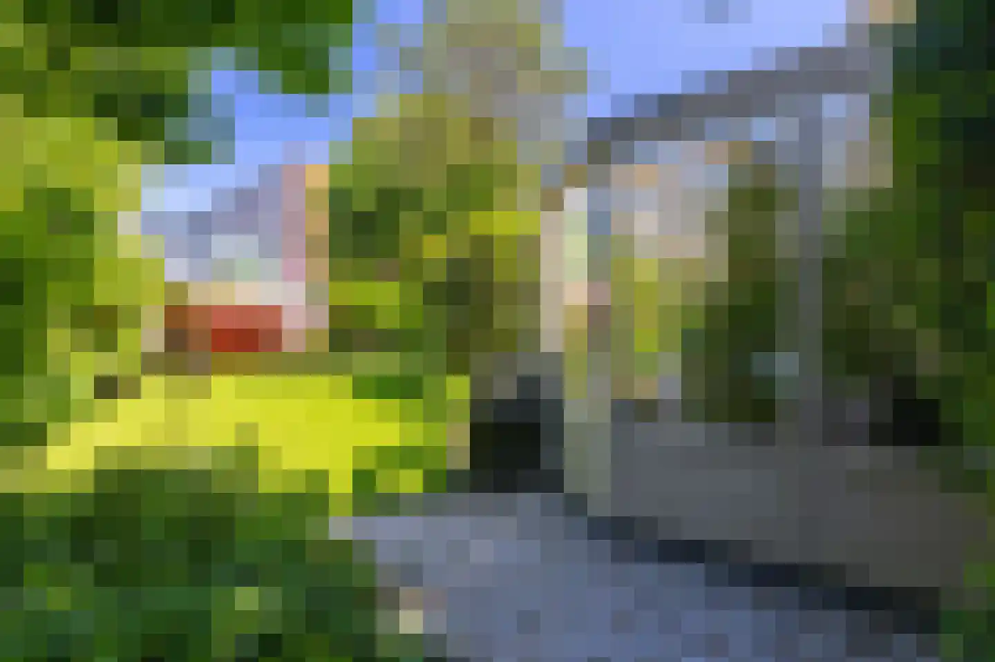 Bertus Aafjeshof 194 Hoorn thumbnail 57