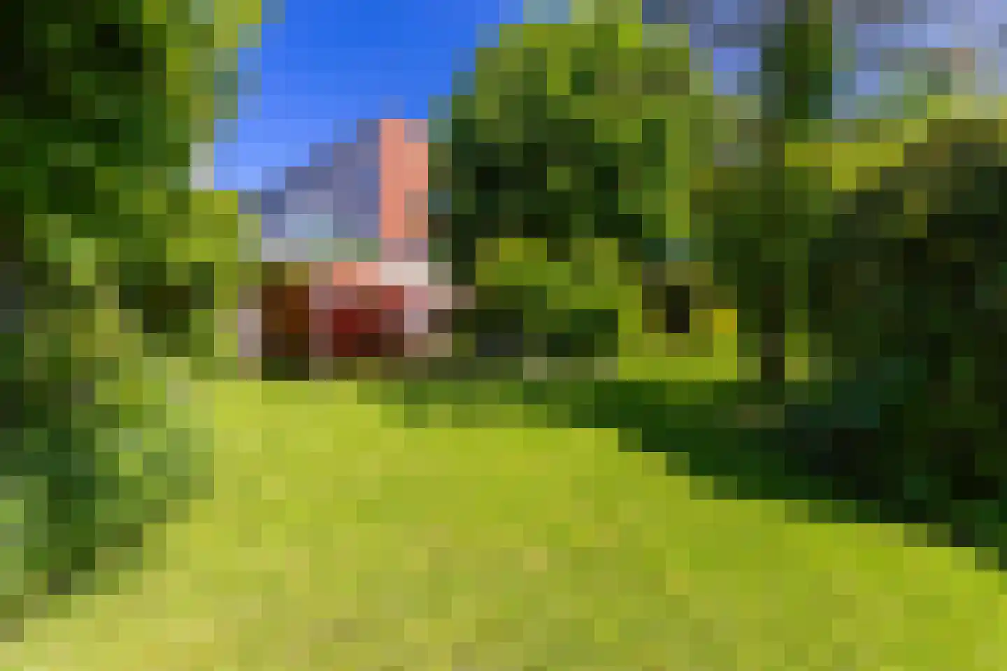 Bertus Aafjeshof 194 Hoorn thumbnail 58