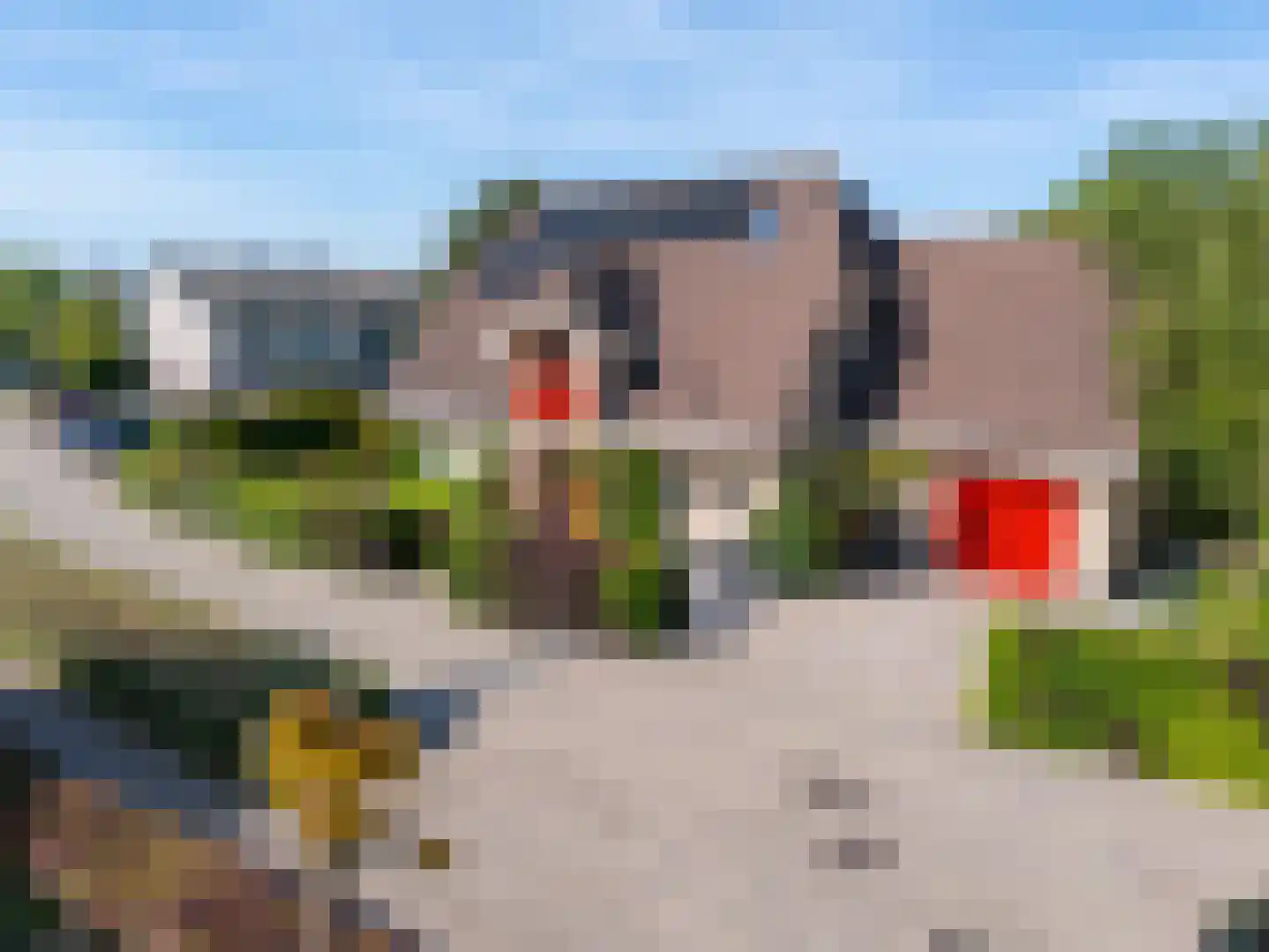 Bertus Aafjeshof 194 Hoorn thumbnail 6