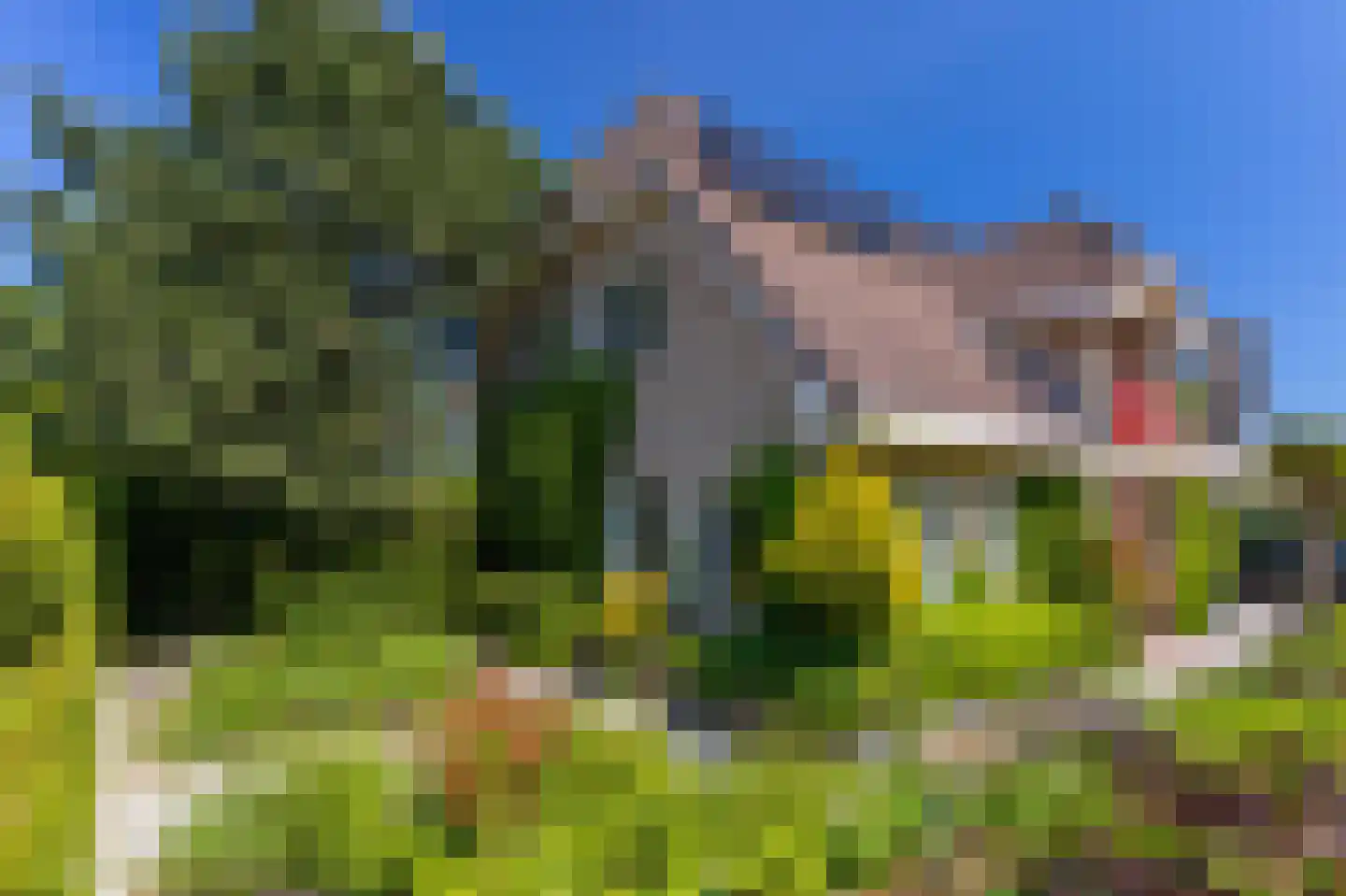 Bertus Aafjeshof 194 Hoorn thumbnail 9