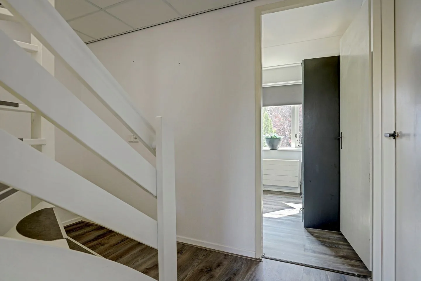 Bertus Aafjeshof 4 Hoorn thumbnail 19