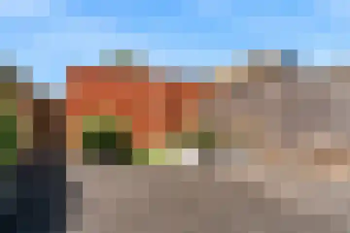 Bertus Aafjeshof 53 Hoorn thumbnail 31