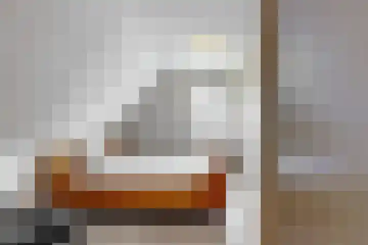 Bertus Aafjeshof 72 Hoorn thumbnail 23