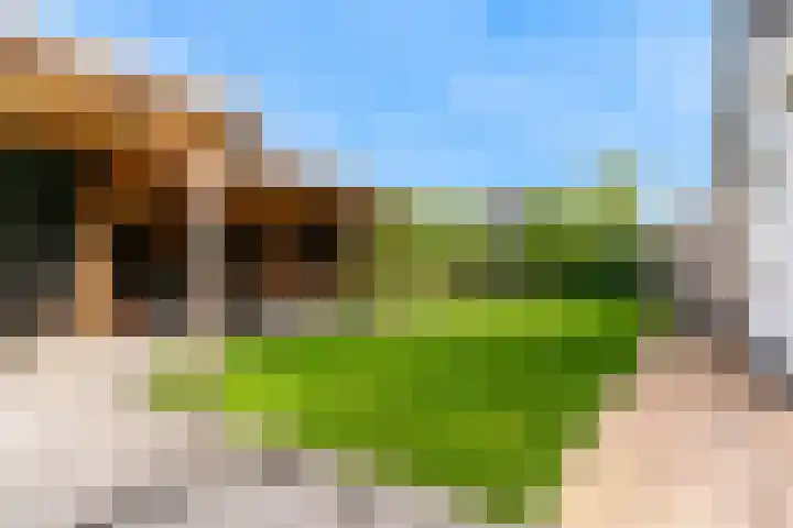 Bertus Aafjeshof 72 Hoorn thumbnail 32