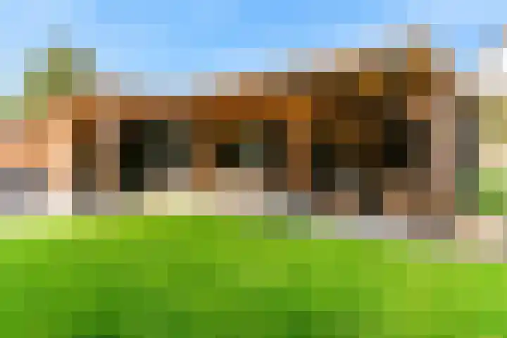 Bertus Aafjeshof 72 Hoorn thumbnail 34