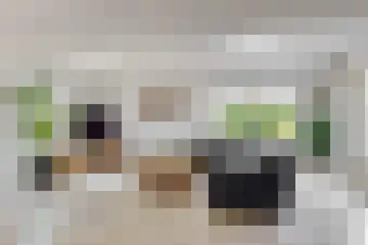 Bertus Aafjeshof 72 Hoorn thumbnail 4